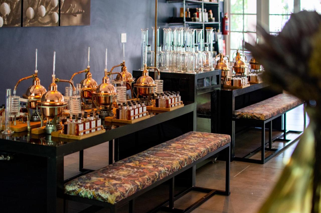 Indaba Hotel, Spa & Conference Center Johannesburg Dış mekan fotoğraf